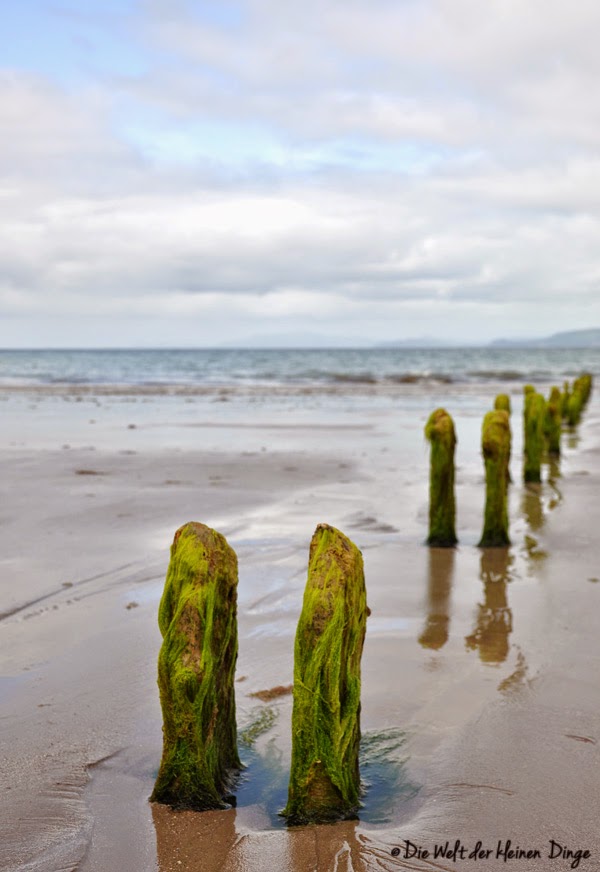Irland: Ring of Kerry - Rossbeigh Beach