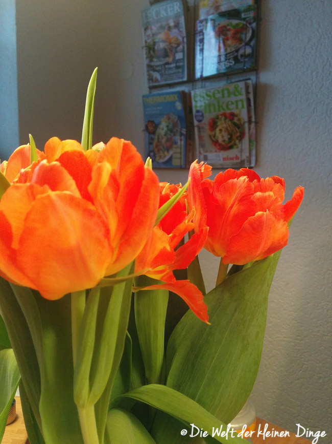 Tulpen, Frühling